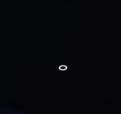 Organizer sealing ring